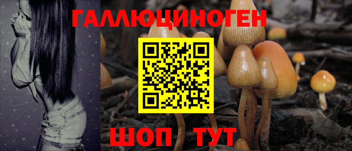 Псилоцибиновые грибы GOLDEN TEACHER Псков